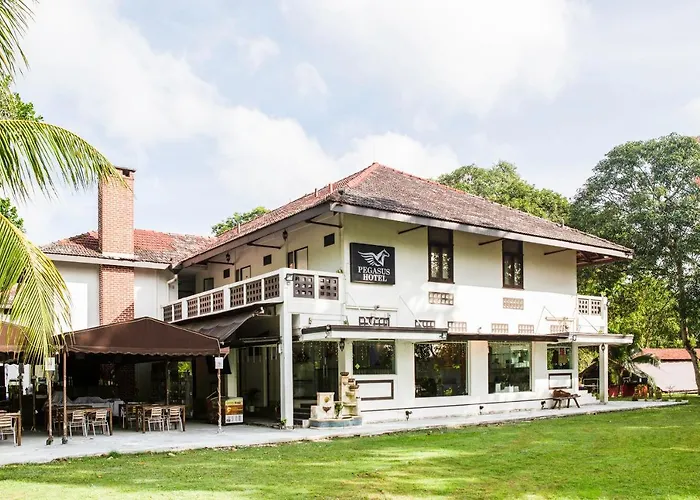 Oyo 104 Pegasus Hotel